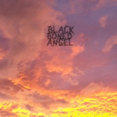 black boned angel cover