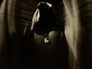 Arckanum_promo_2013_(c)_Darby_Lahger