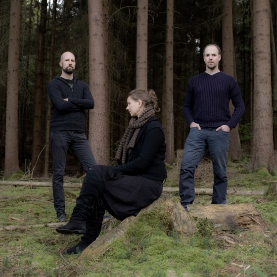 Nebelung, Oktober2013