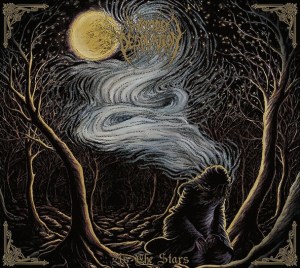 Woods of Desolation cover