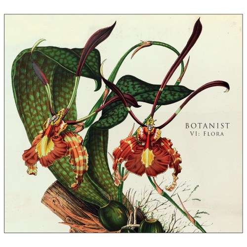 Botanist cover