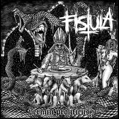 Fistula cover