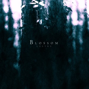 Lustre - BLOSSOM - Artwork