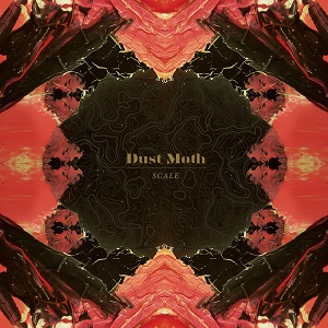 Dust Moth cover