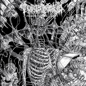 tomb-mold-cover